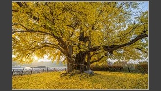 2022-11-06
