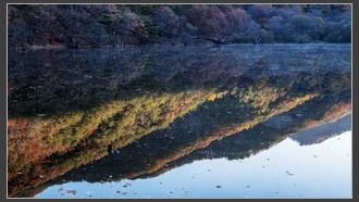 2022-11-07