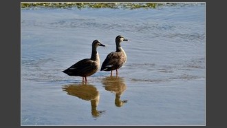 2022-11-07
