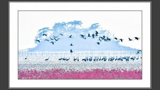 2022-11-08
