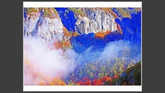 2022-11-08