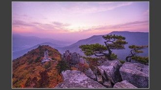 2022-11-09