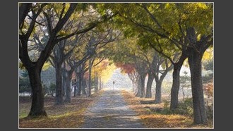 2022-11-11