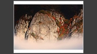 2022-11-11