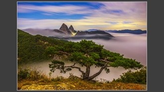 2022-11-11