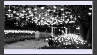 2022-11-11