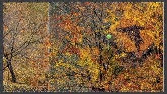 2022-11-14