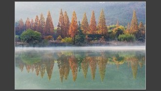 2022-11-15