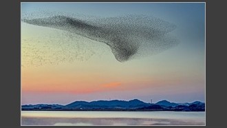 2023-01-22