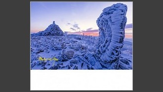 2023-01-29
