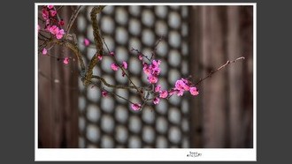 2023-02-25