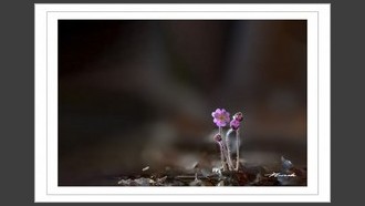 2023-03-01
