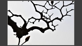 2023-03-07