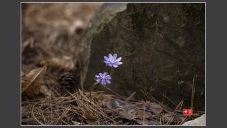 2023-03-10