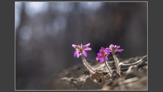 2023-03-11