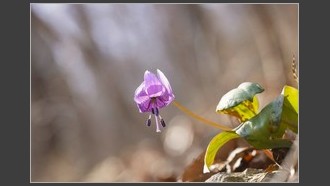 2023-03-12