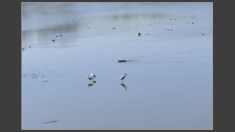 2023-04-02