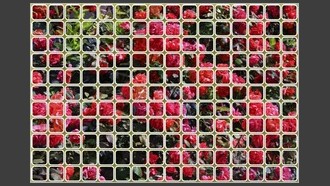 2023-05-30