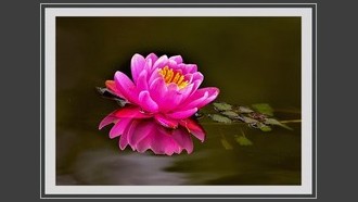 2023-06-08