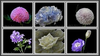 2023-07-02