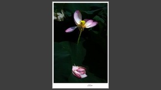 2023-07-03