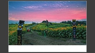 2023-07-03