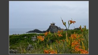 2023-07-03