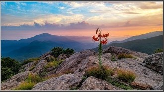 2023-07-04