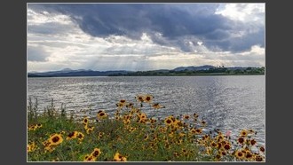 2023-07-06