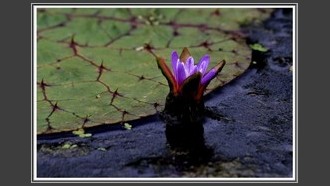 2023-07-08
