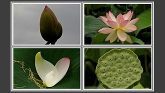 2023-07-09
