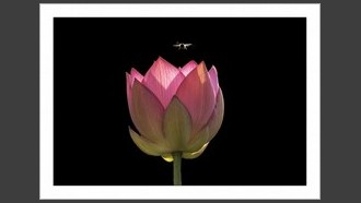2023-07-11