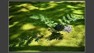 2023-07-12