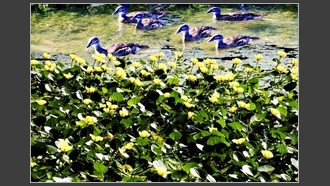 2023-07-12
