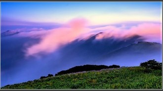 2023-07-31