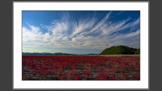 2023-08-01