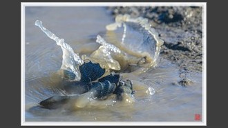 2023-08-06