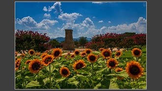 2023-08-07