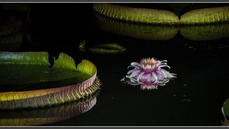 2023-08-29