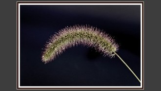 2023-09-08