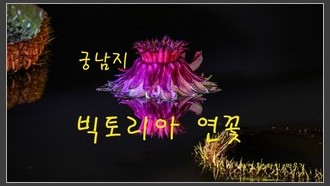 2023-09-10