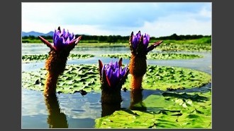 2023-09-11