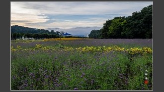 2023-09-26