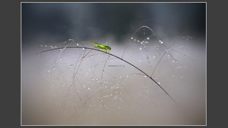 2023-10-02