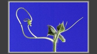 2023-10-05