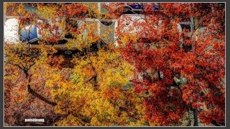 2023-11-01