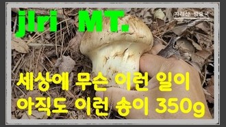 2023-11-05
