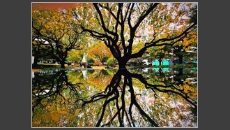 2023-11-06