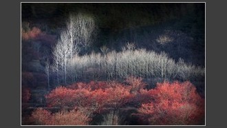 2023-11-07
