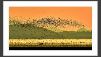 2023-11-09